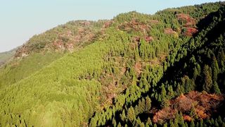 DJI_0005.MOV_000426313.jpg