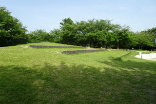 DSC06636.jpg
