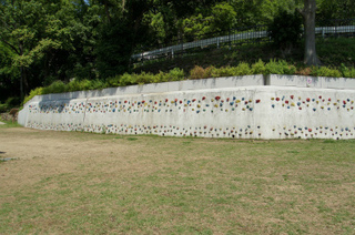 DSC09303.jpg