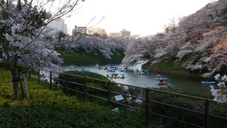 IMG_20190403_172721.jpg
