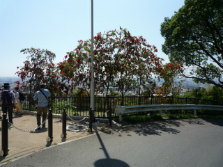 P1080590.jpg
