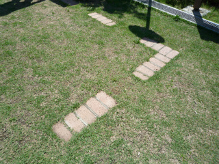 P1080610.jpg