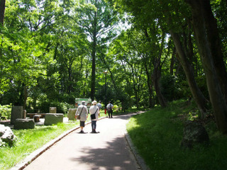 P5159642.jpg