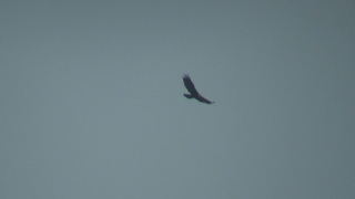 DSC04114.JPG