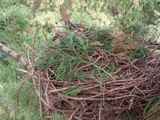 PC160033.JPG